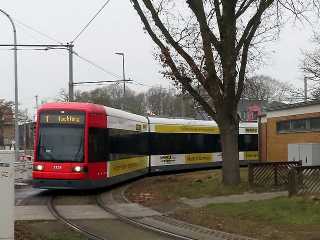 3129 3129