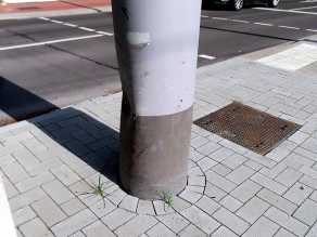 29.07.2026 29.07.2026